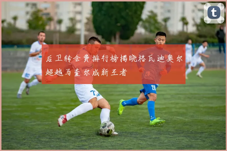 后卫转会费排行榜揭晓格瓦迪奥尔超越马奎尔成新王者